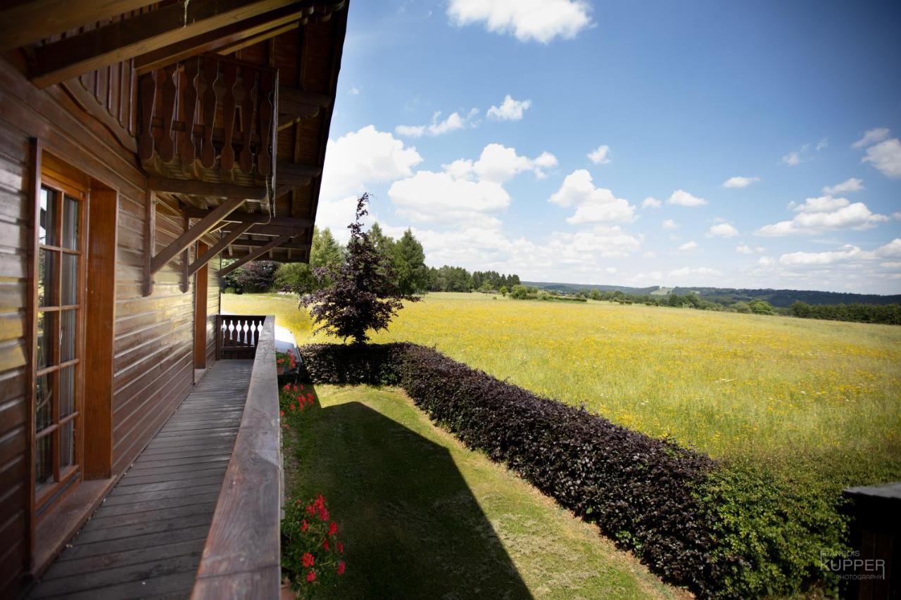 Villa Le Gagnage 31 Pers- Malmedy, Rustique, Vue, Wellness Esterno foto