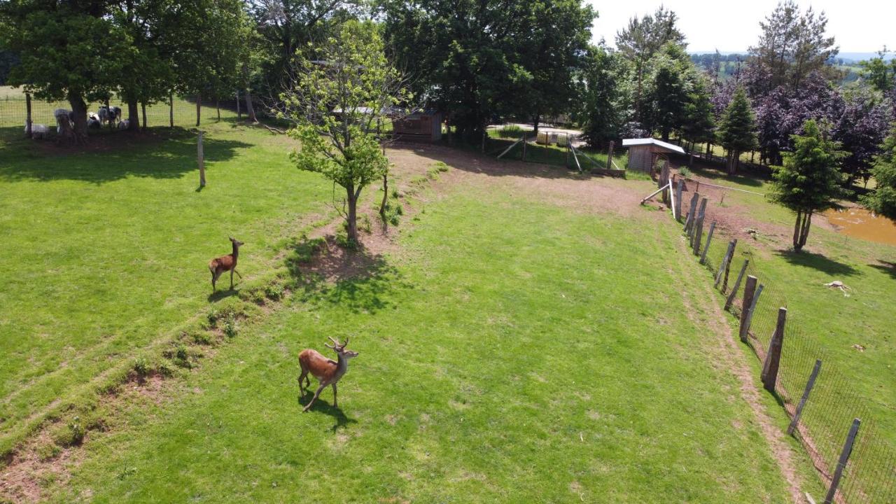 Villa Le Gagnage 31 Pers- Malmedy, Rustique, Vue, Wellness Esterno foto