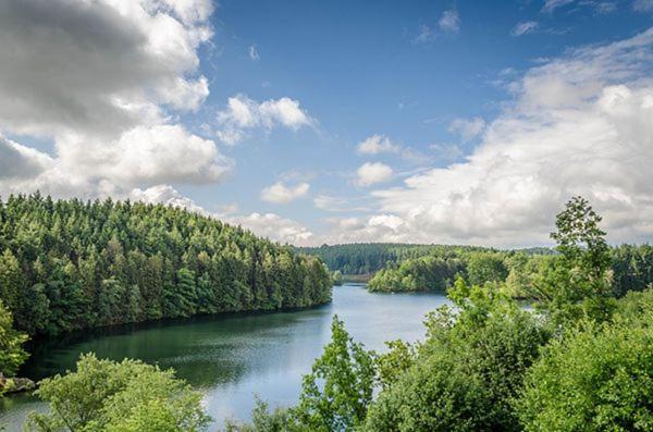 Villa Le Gagnage 31 Pers- Malmedy, Rustique, Vue, Wellness Esterno foto